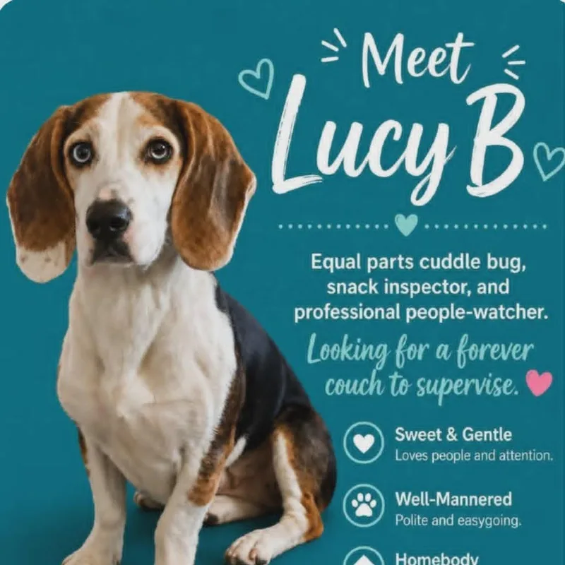 Lucy B thumbnail 2