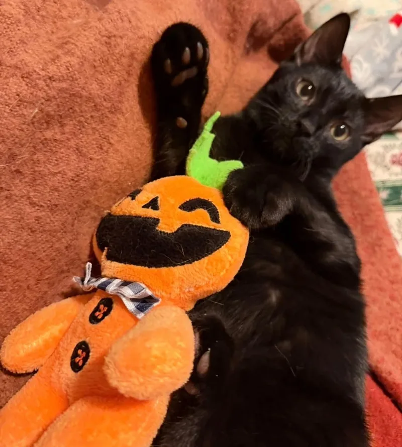 Billy thumbnail 2