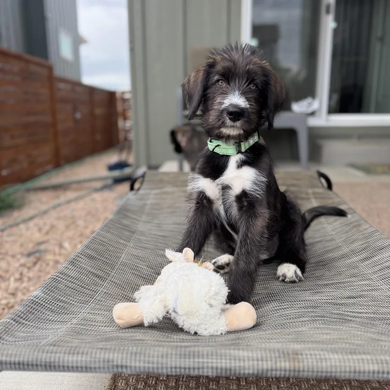 Beverly thumbnail 4