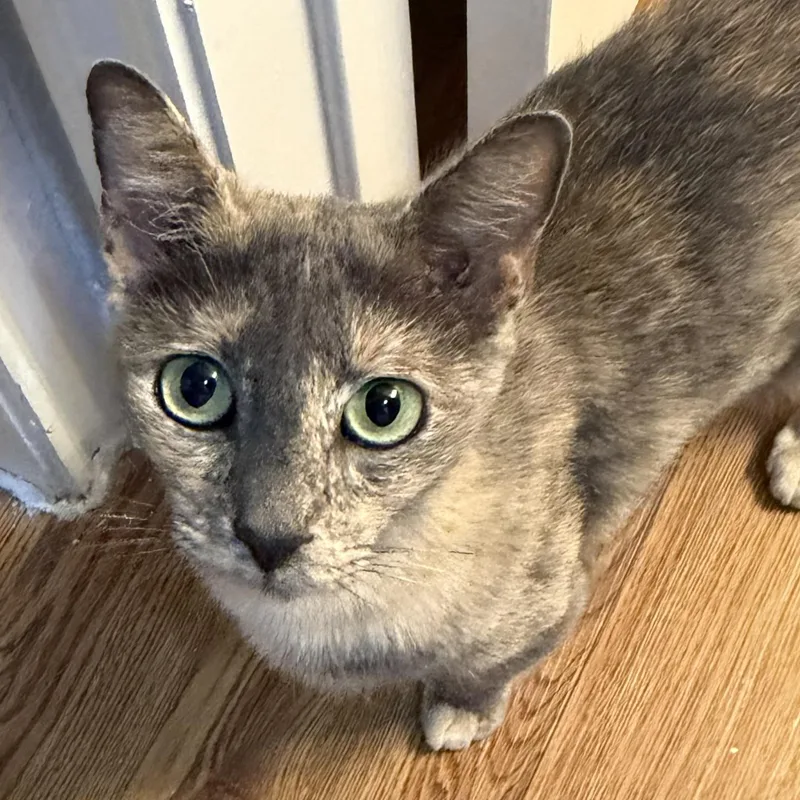 Rosie thumbnail 3