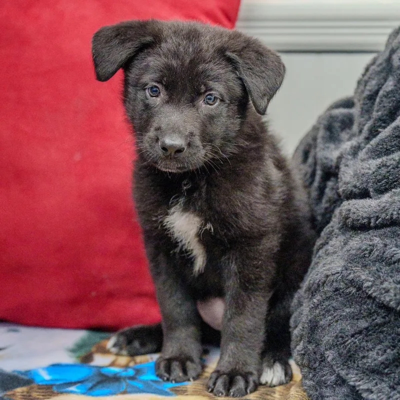 Maggie Mae thumbnail 5