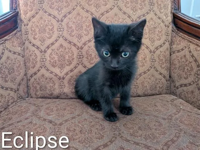 Eclipse