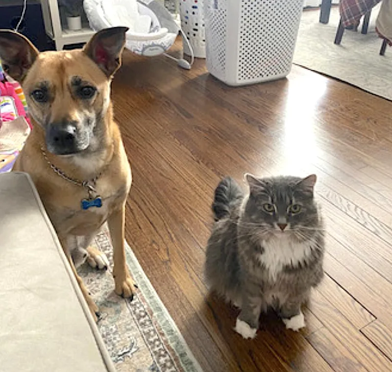 Pepper And Salt thumbnail 2