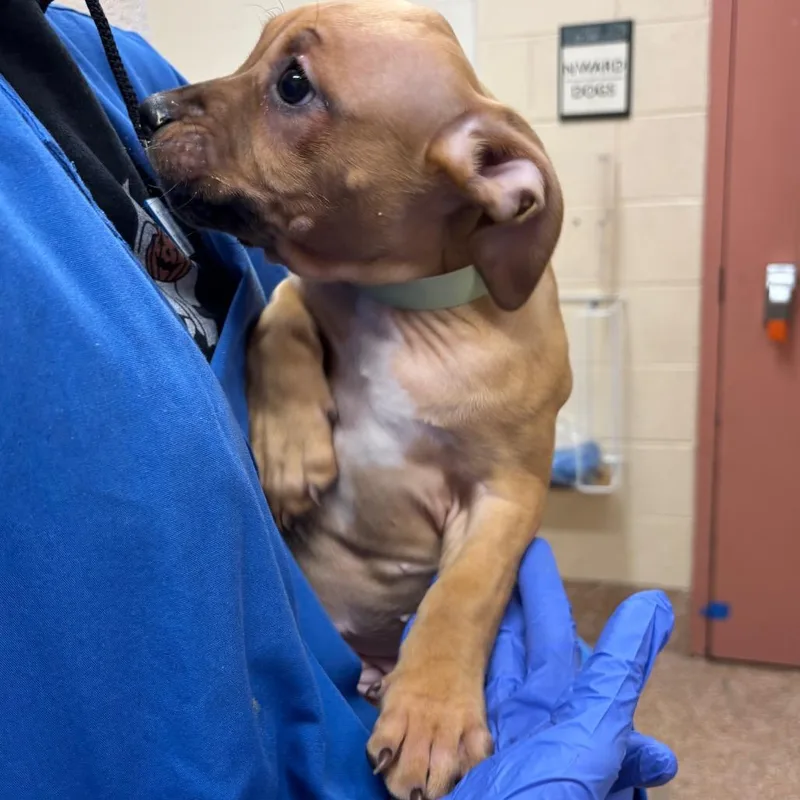 Inner Struggle thumbnail 2