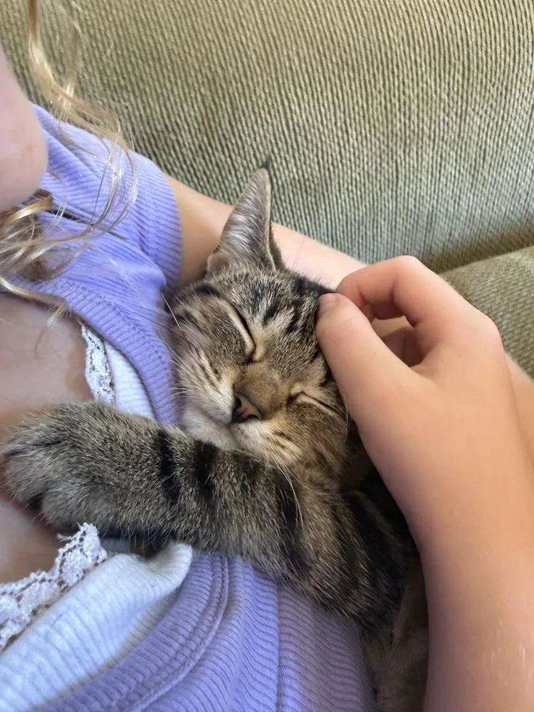 Sweetie Peetie thumbnail 2