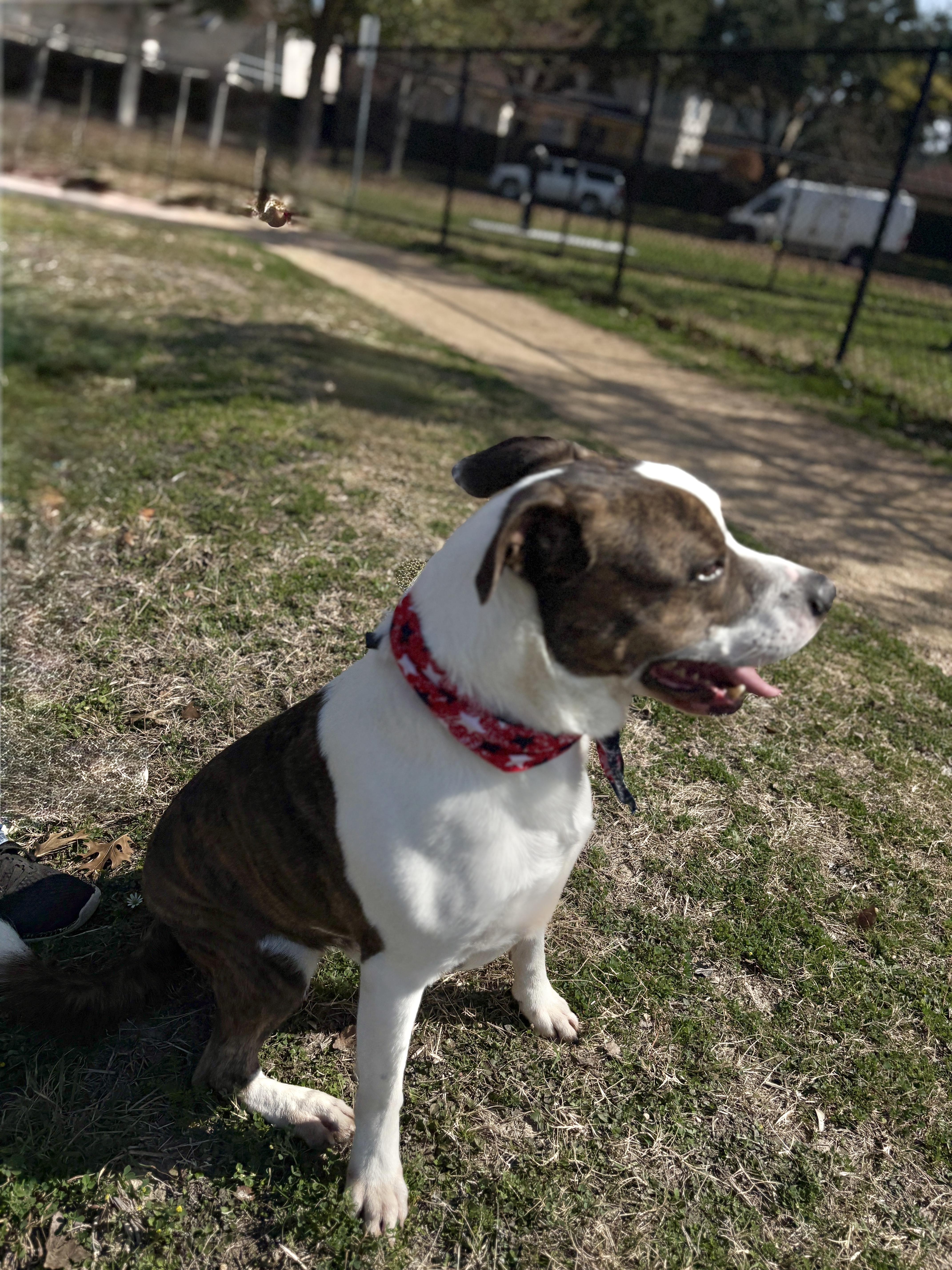 Marvelous Merrick thumbnail 3