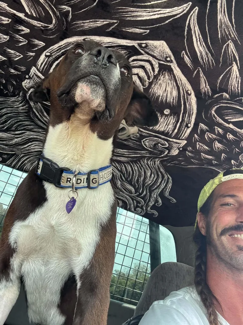 Franklin thumbnail 6
