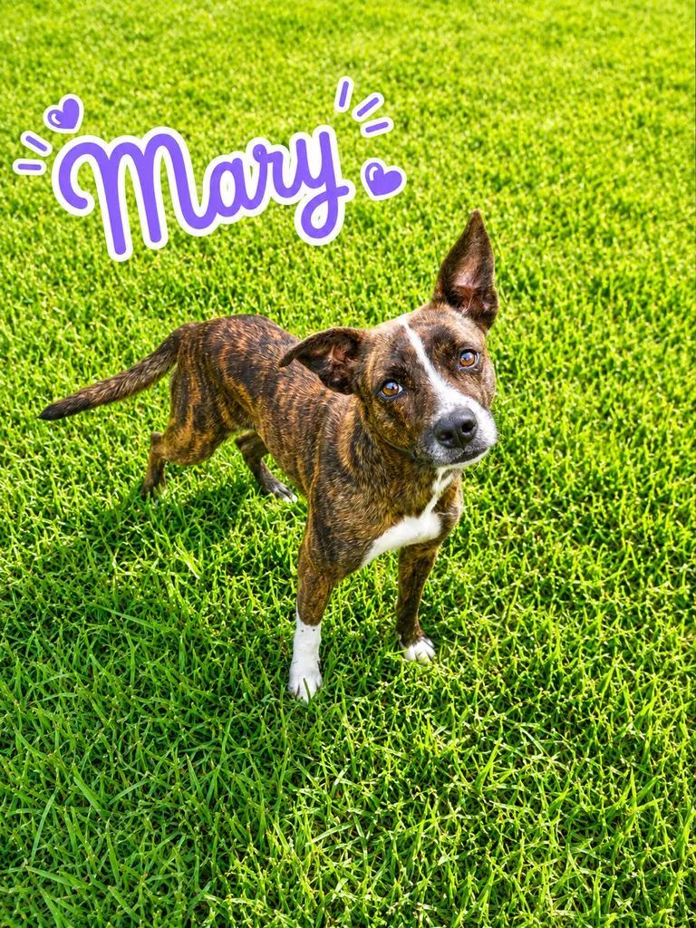 Mary thumbnail 2