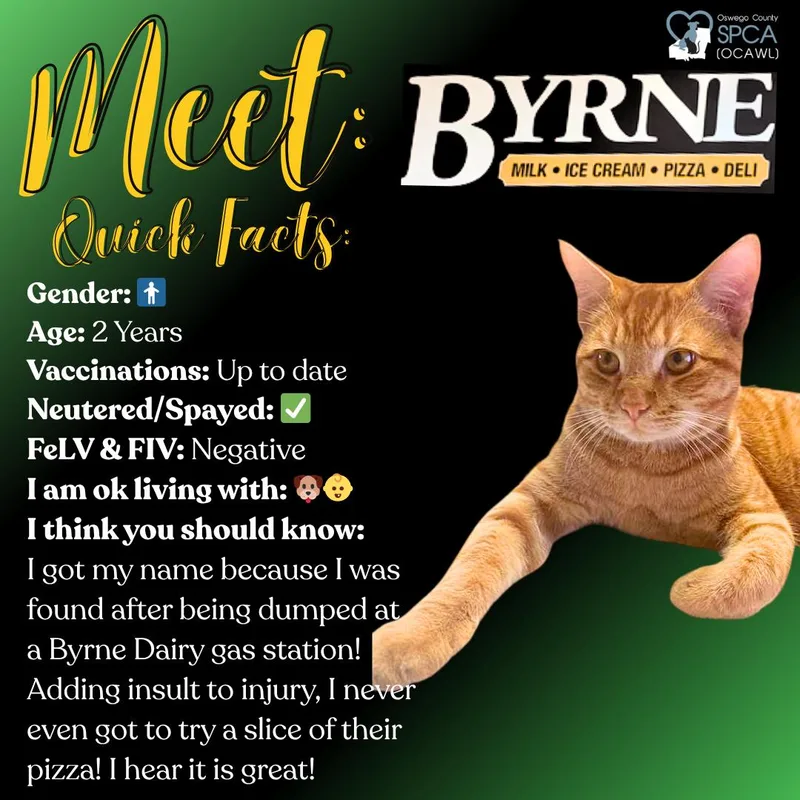 Byrne thumbnail 2
