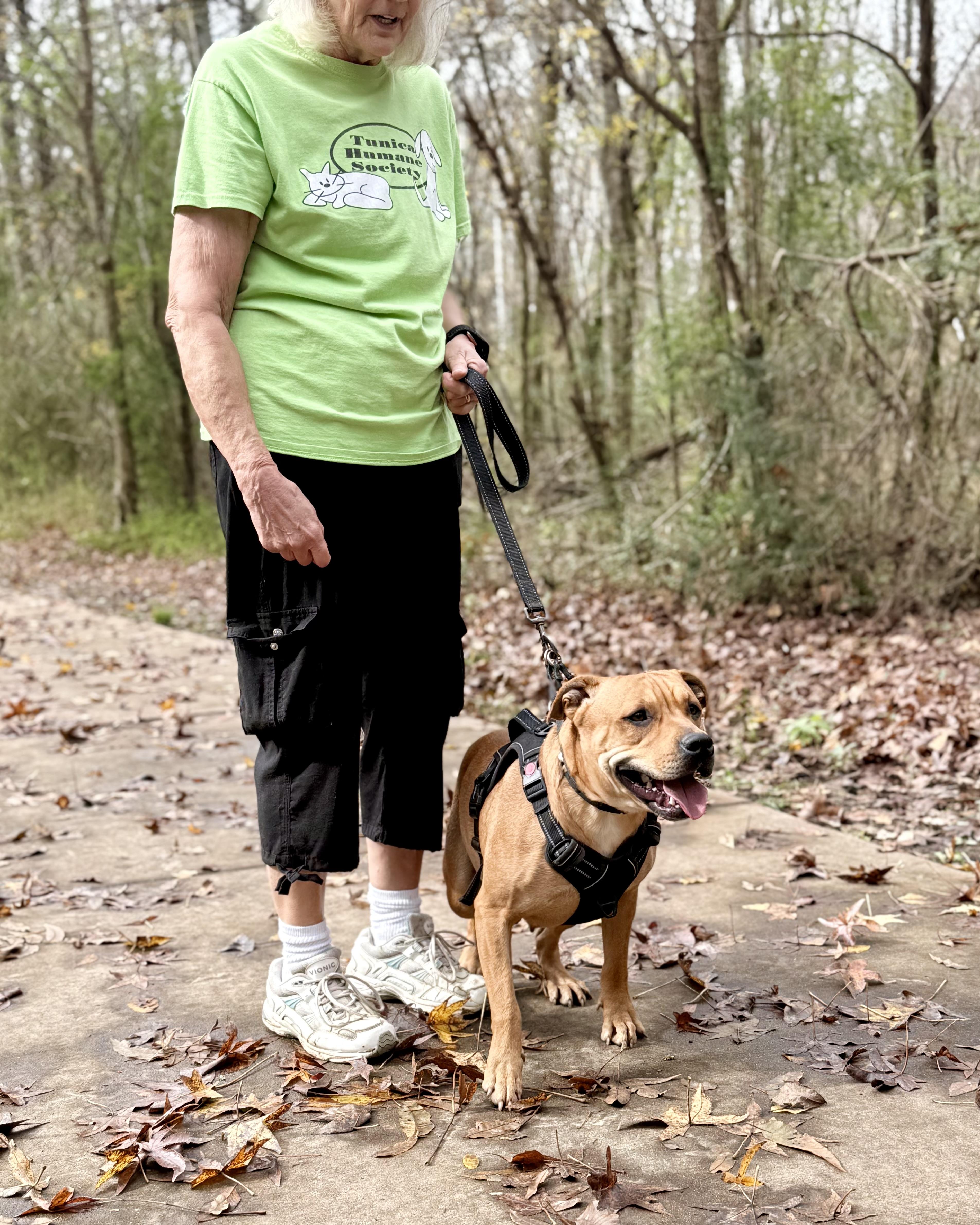 Strawberry thumbnail 2