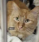 Max