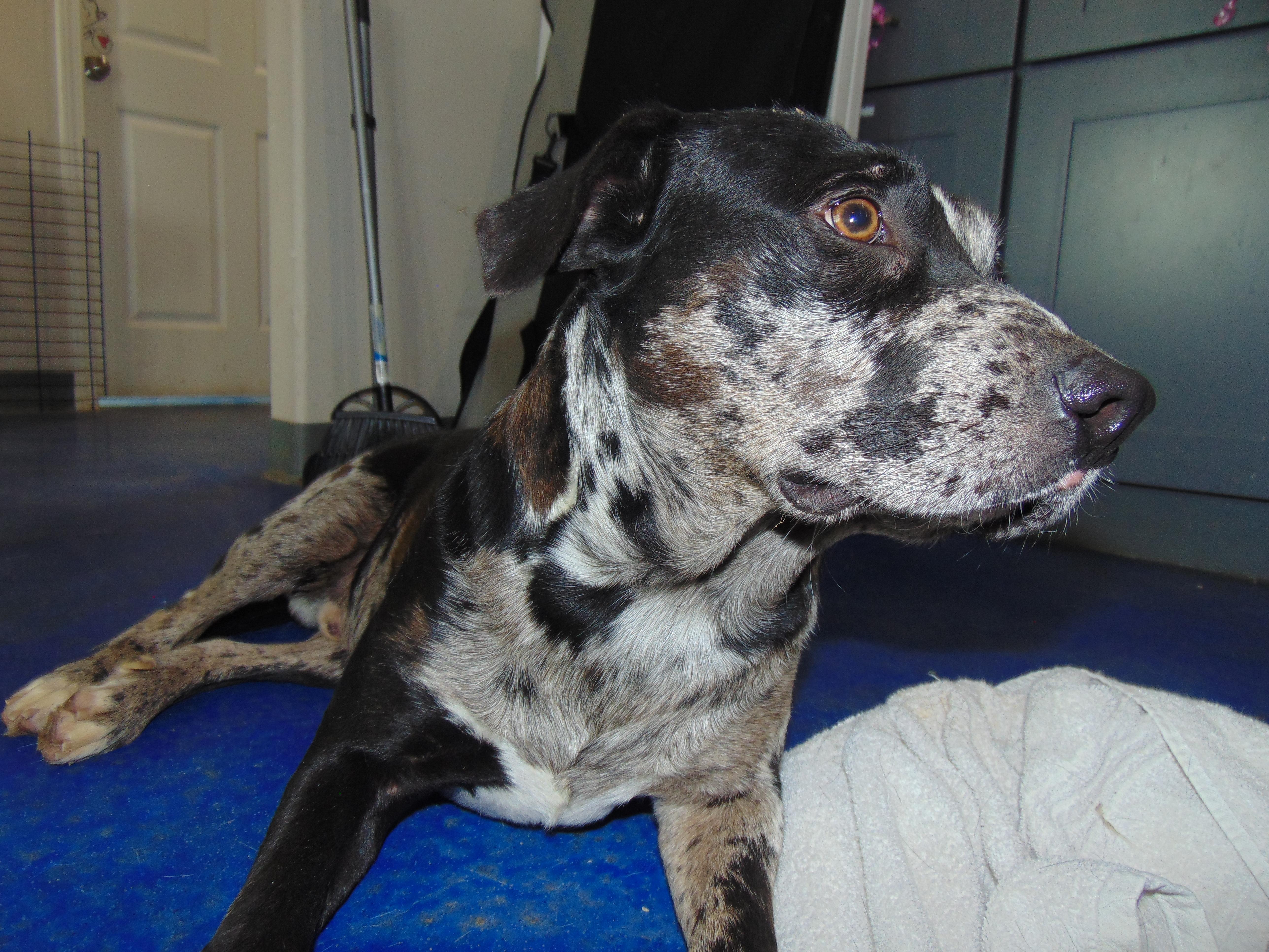 Ying Yang thumbnail 2