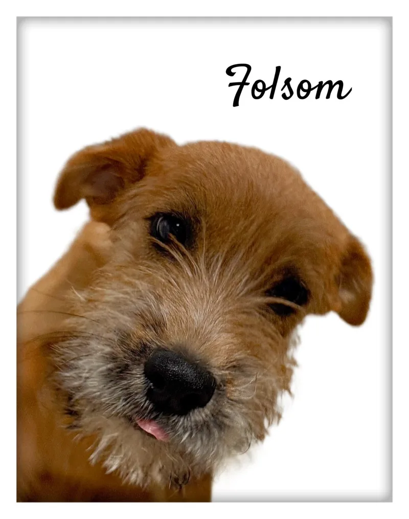Folsom thumbnail 2
