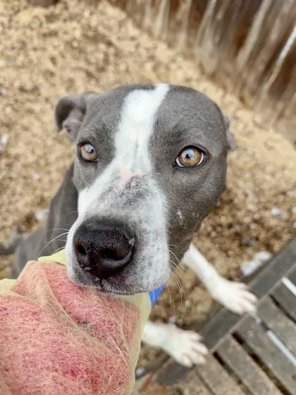 Scrunchy thumbnail 2