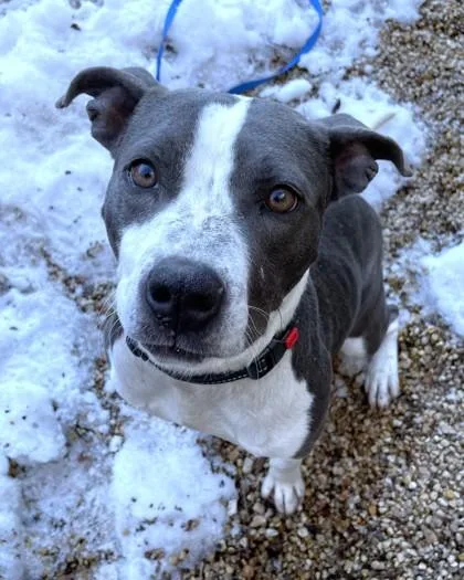 Scrunchy thumbnail 3