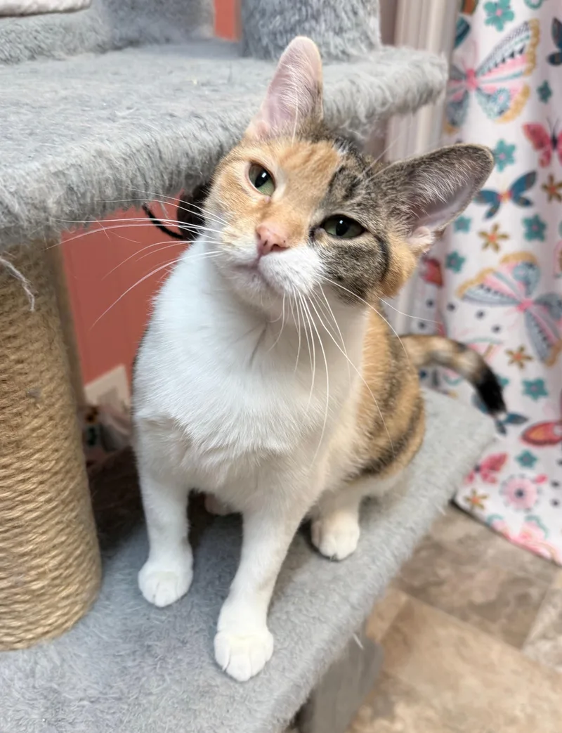 Charo And Molly thumbnail 2