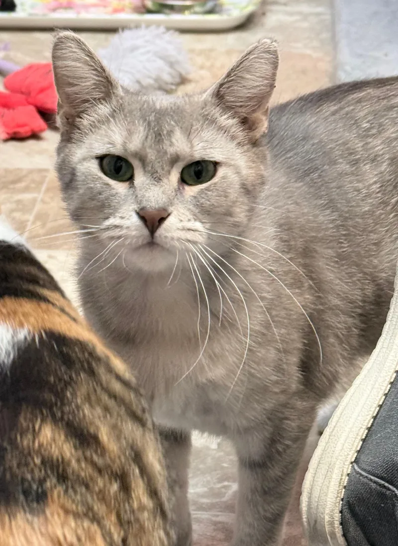 Charo And Molly thumbnail 3