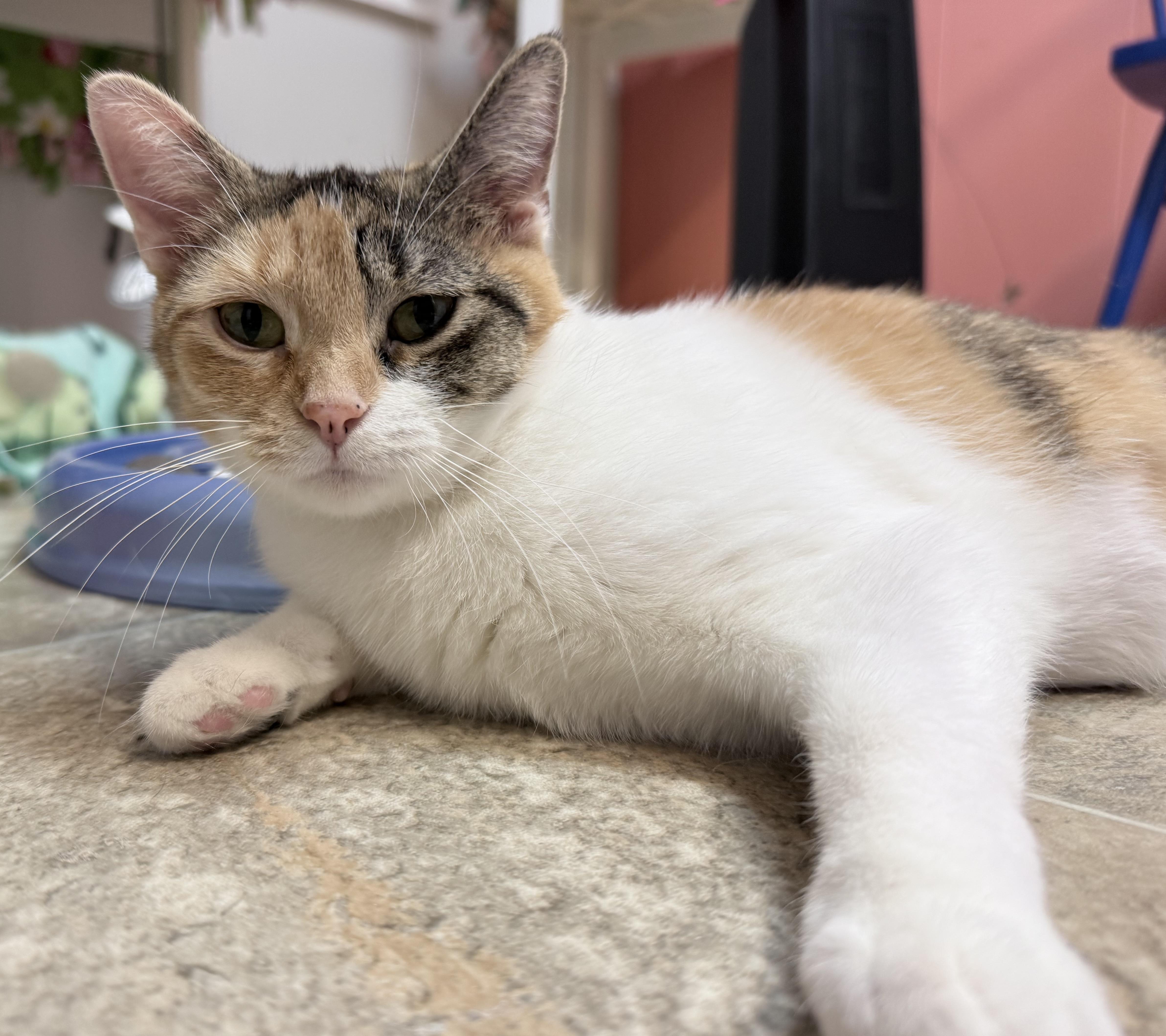 Charo And Molly thumbnail 4