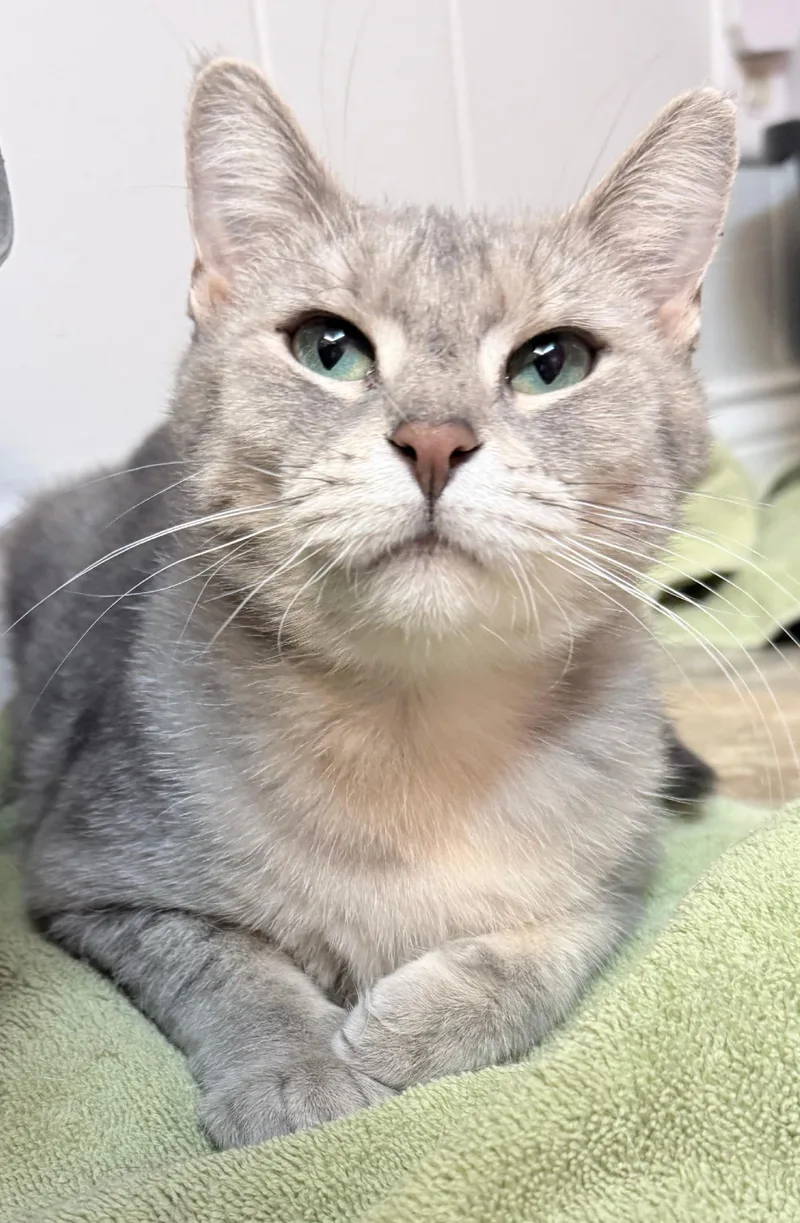 Charo And Molly thumbnail 6