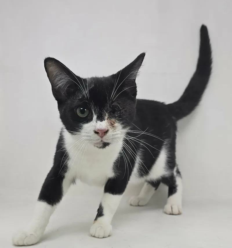 Lefty Lopez thumbnail 3