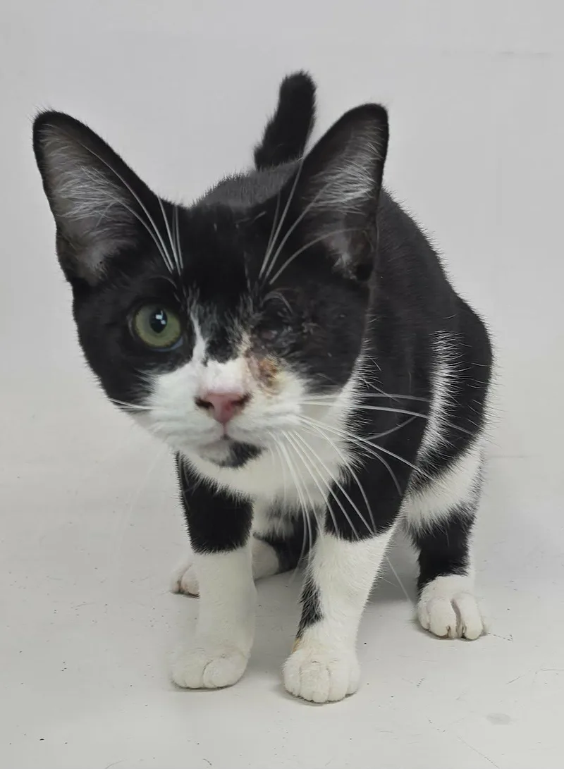 Lefty Lopez thumbnail 5