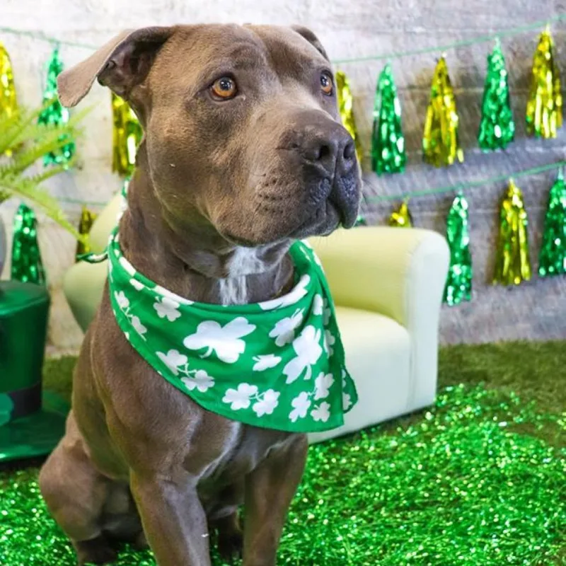 Skittles thumbnail 2