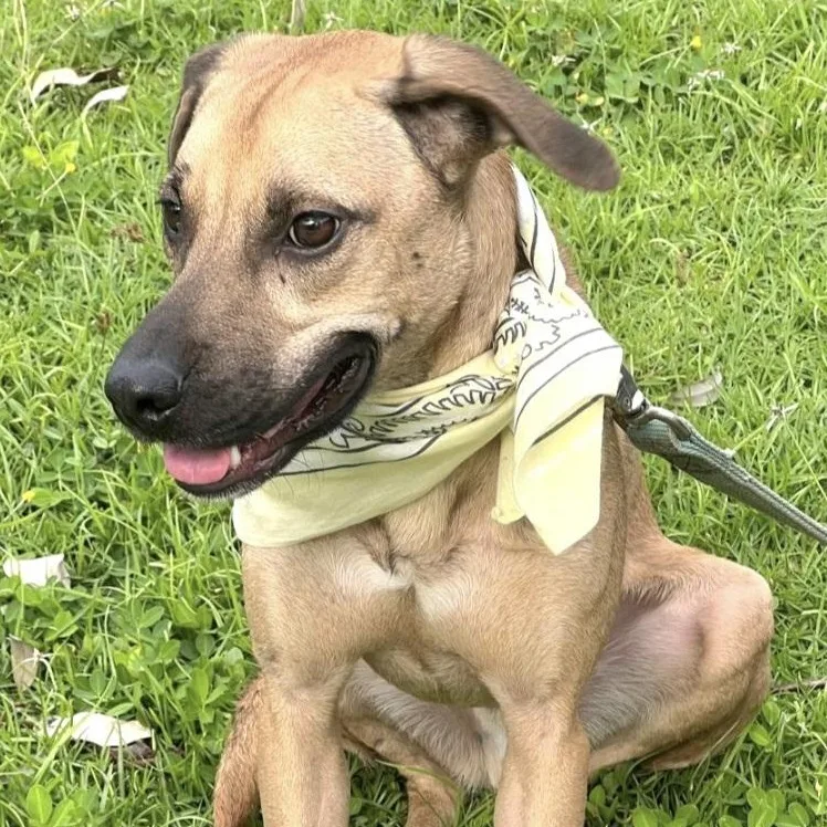 Luigi Bonded With Brother