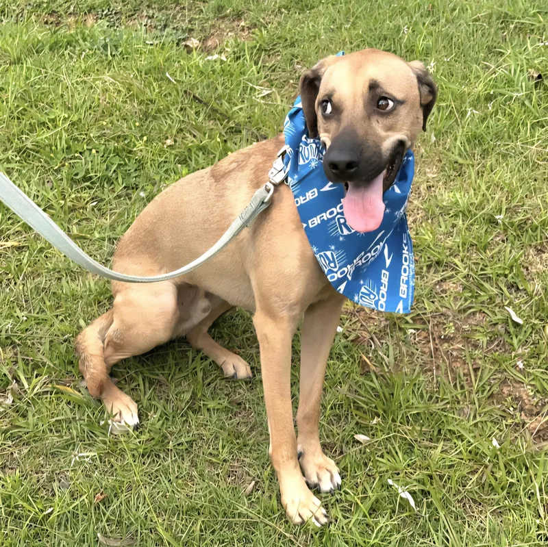 Luigi Bonded With Brother thumbnail 2