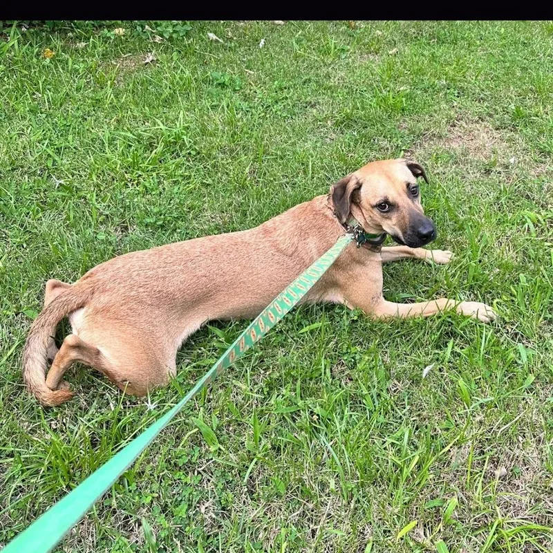 Luigi Bonded With Brother thumbnail 5