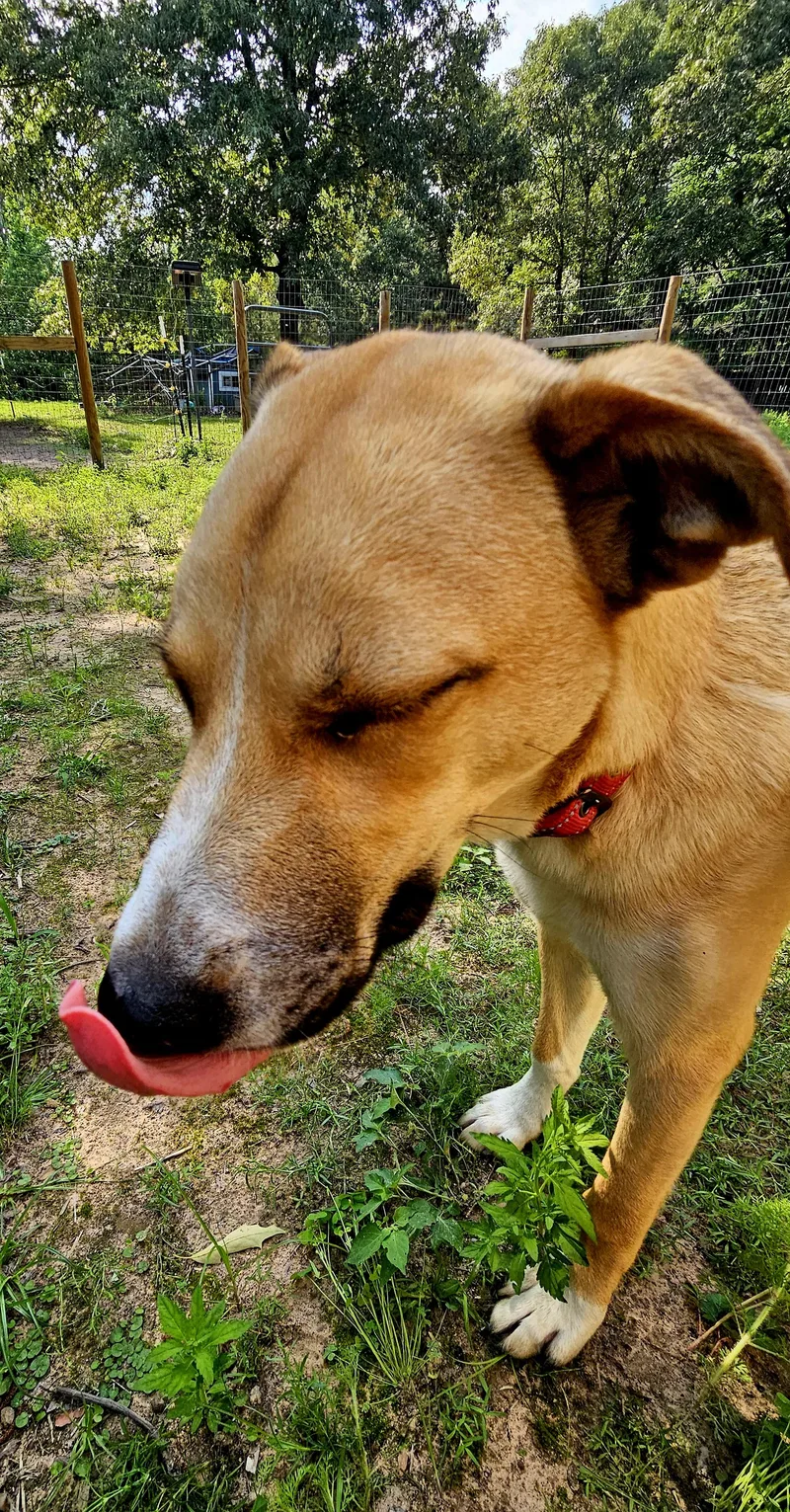 Coco  Co thumbnail 4