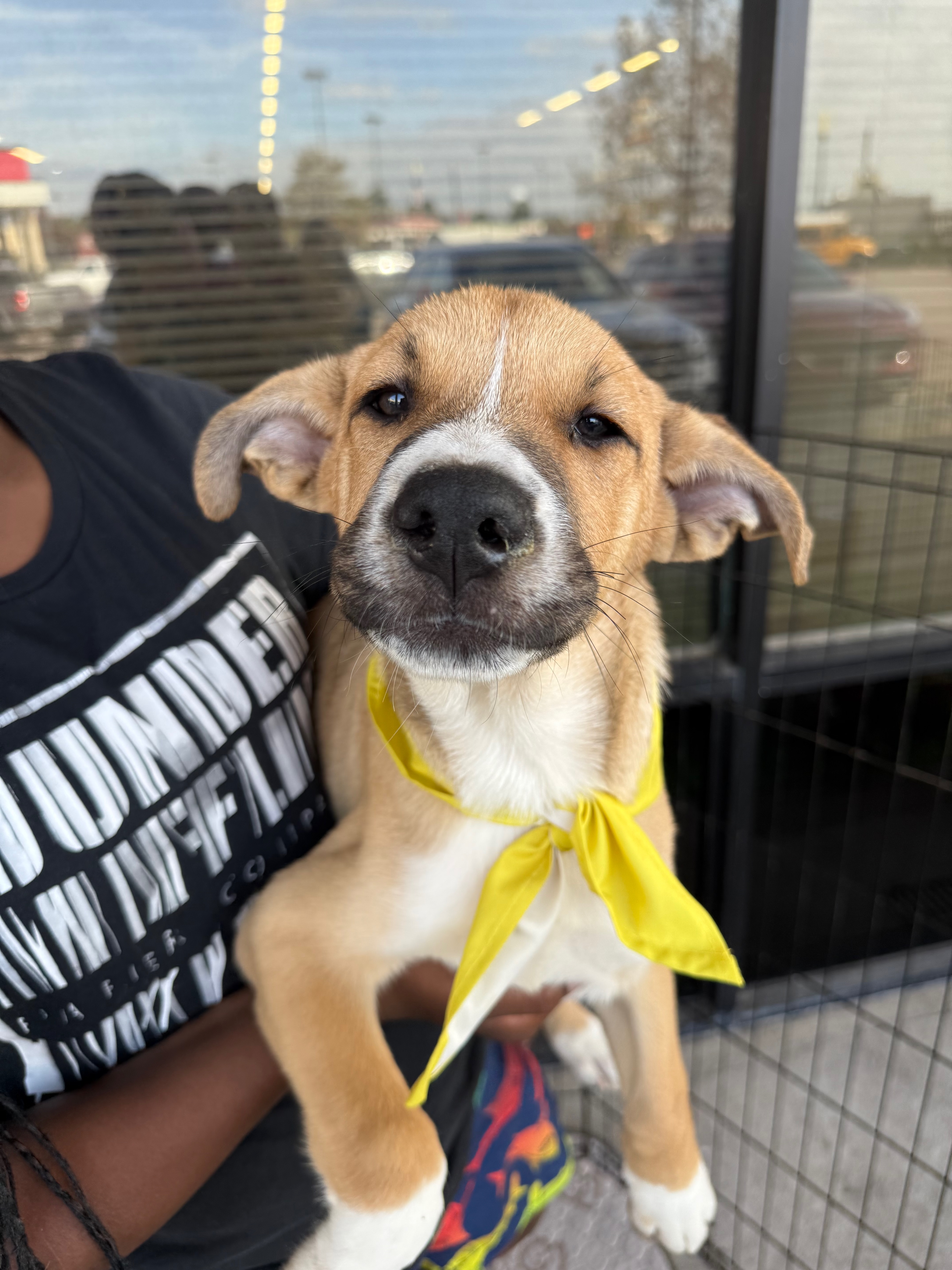 Coco  Co thumbnail 5