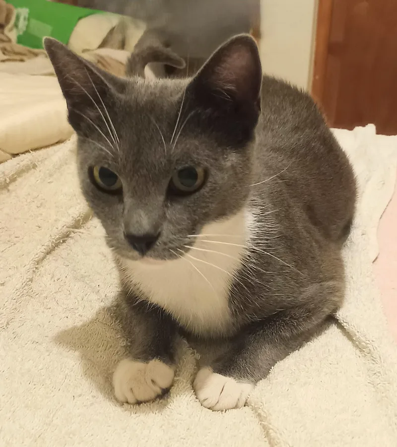 Minnie thumbnail 6