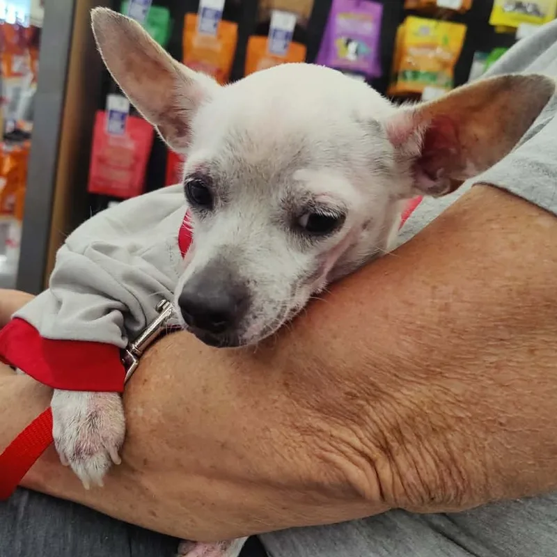 Jax And Olaf thumbnail 2