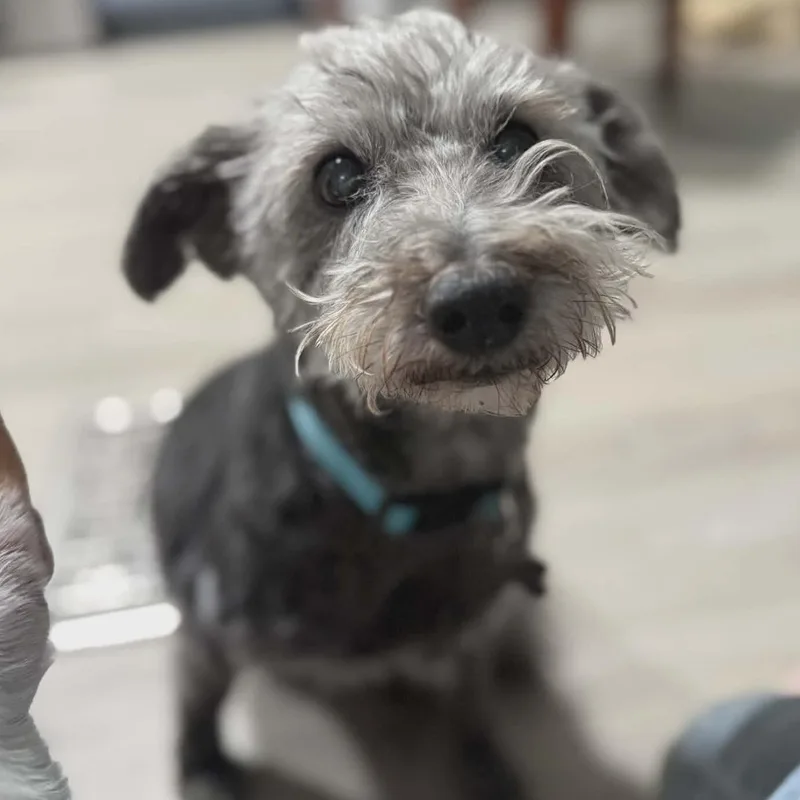 Jax And Olaf thumbnail 3