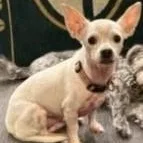 Jax And Olaf thumbnail 4