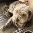 Jax And Olaf thumbnail 5