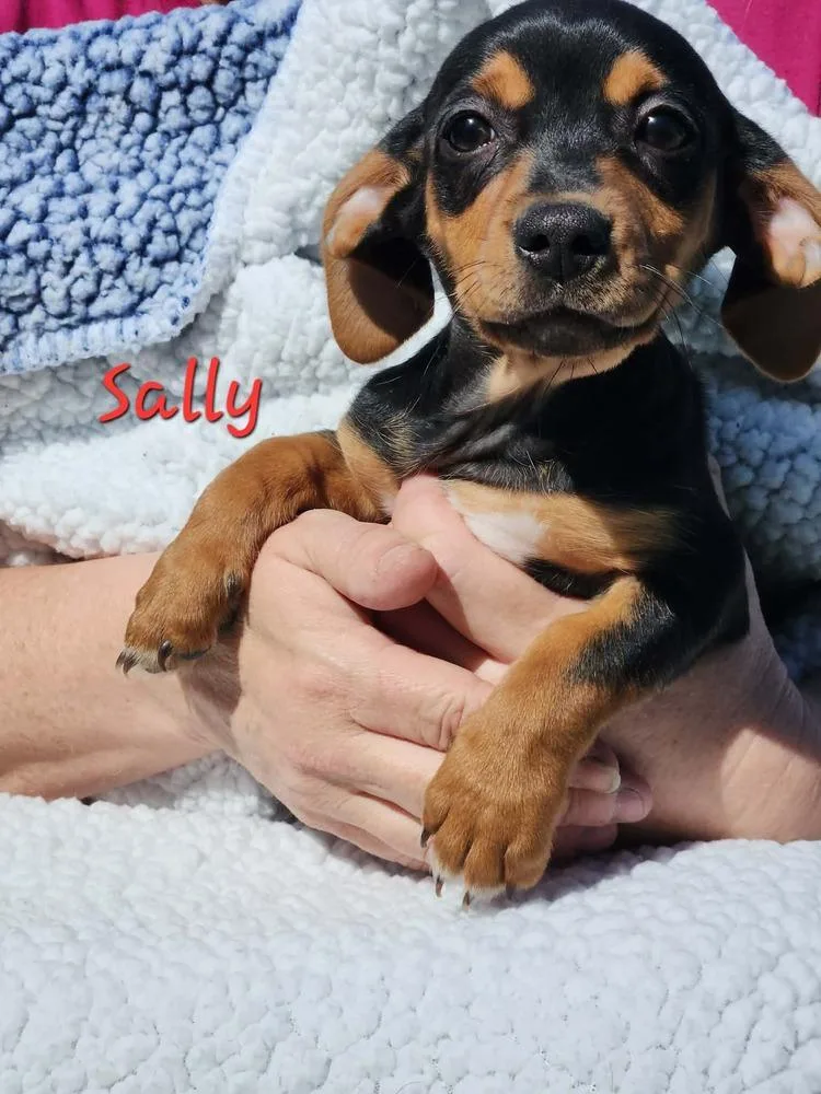 Sally