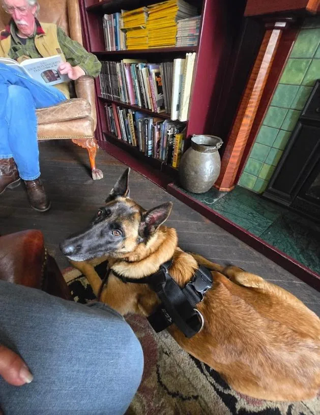 Cinnamon thumbnail 2