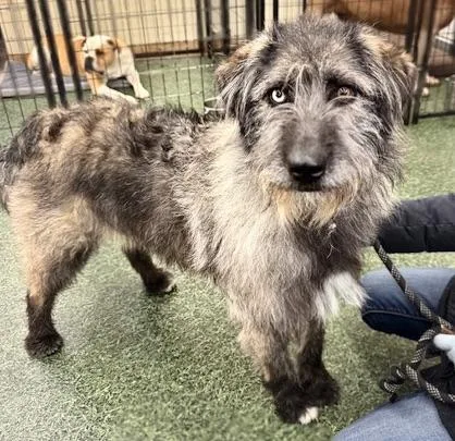 Sprinkles thumbnail 2