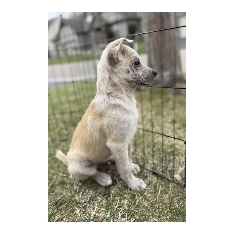 Skittles thumbnail 2