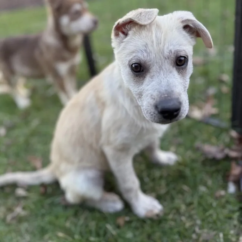 Skittles thumbnail 3