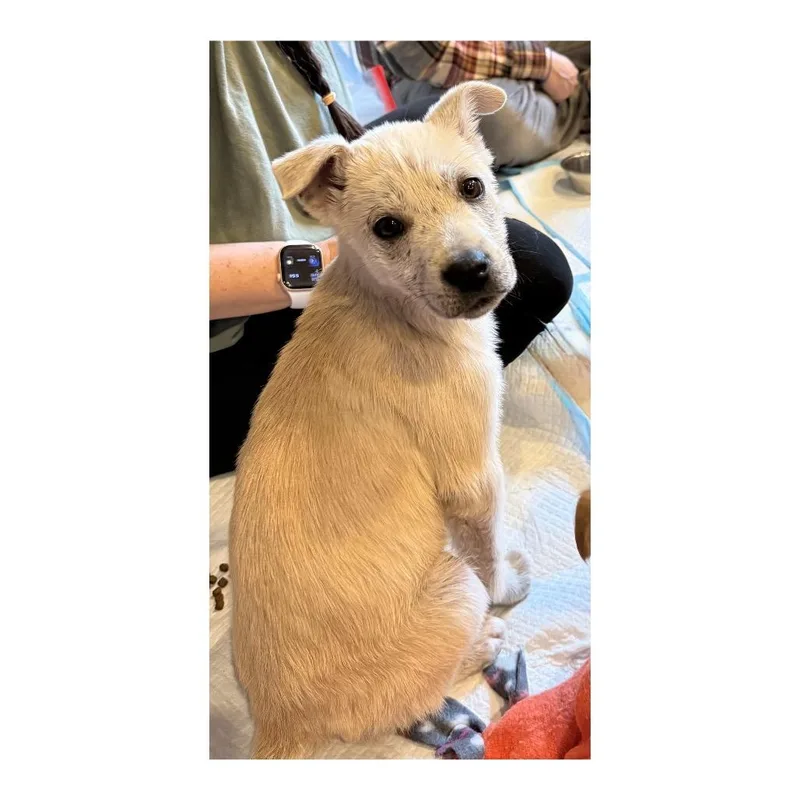 Skittles thumbnail 4