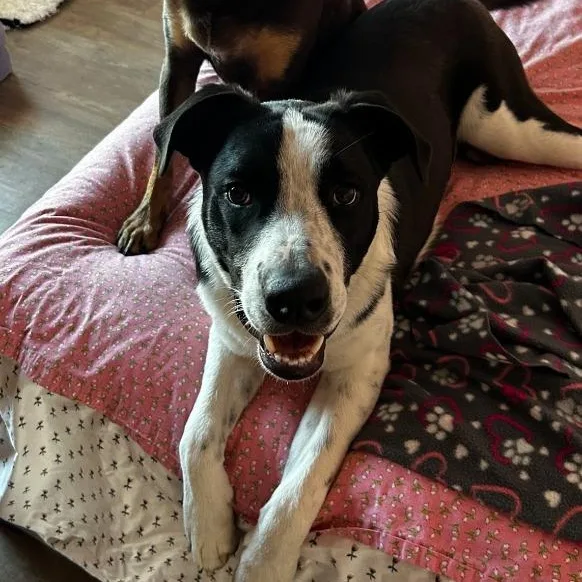 Theodore thumbnail 2