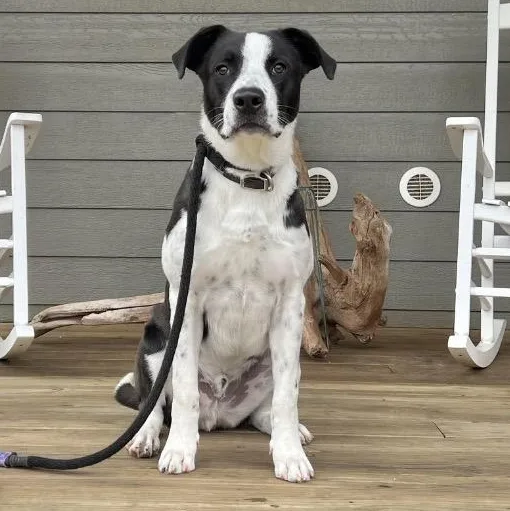 Theodore thumbnail 3