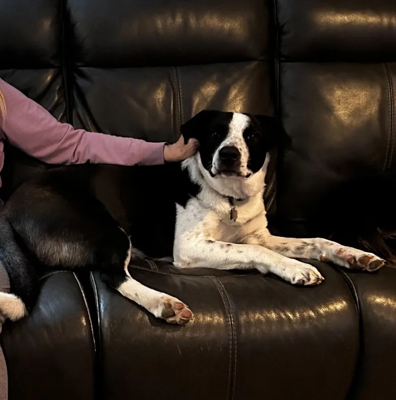 Theodore thumbnail 5