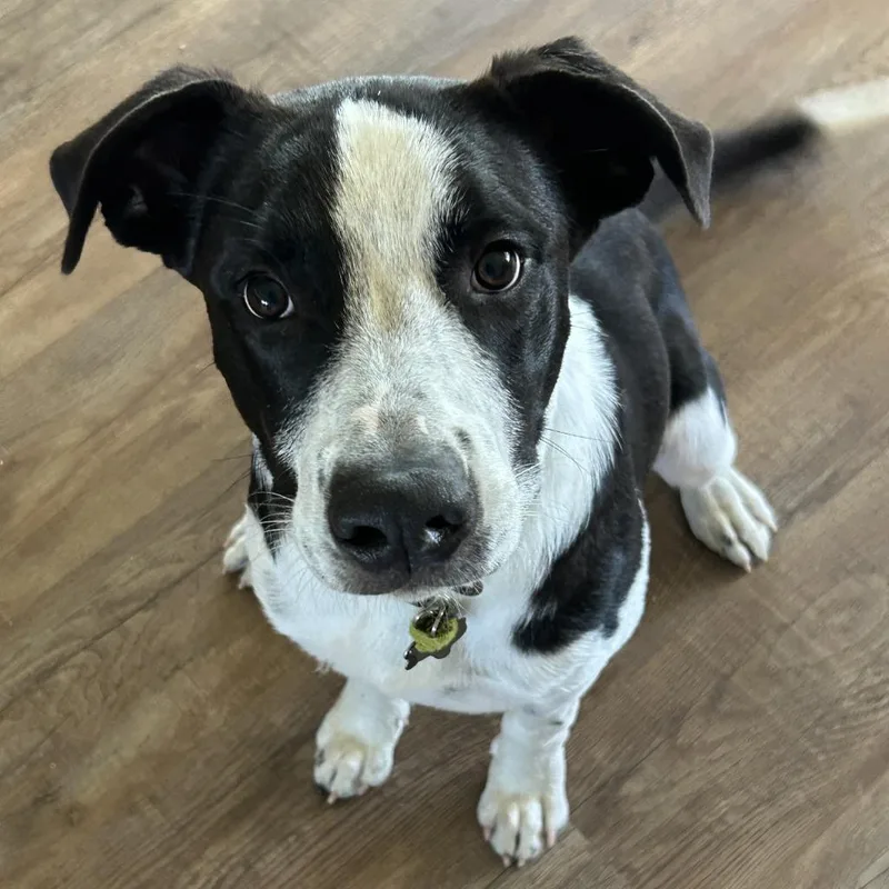 Theodore thumbnail 6