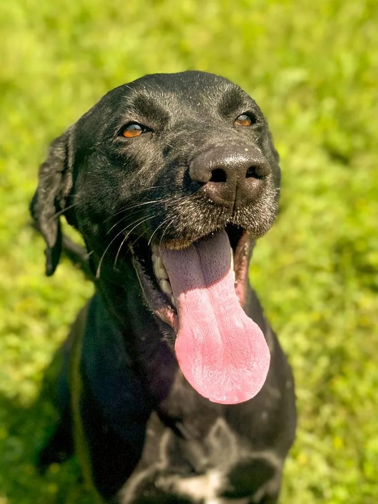 Maggie