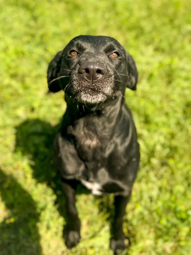 Maggie thumbnail 6