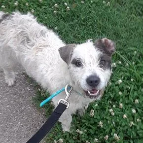 Callie F thumbnail 3