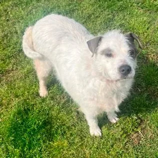 Callie F thumbnail 4